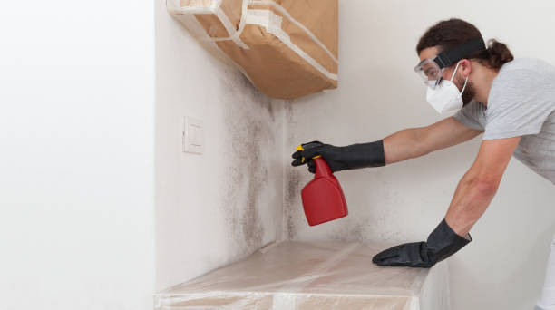 Professional Crawl Space Mold Remediation technician working in Marblehead, MA