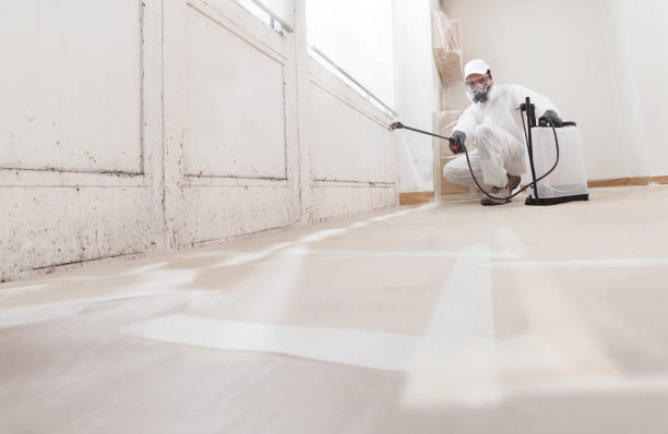 24/7 Emergency Crawl Space Mold Remediation experts in Marblehead, MA
